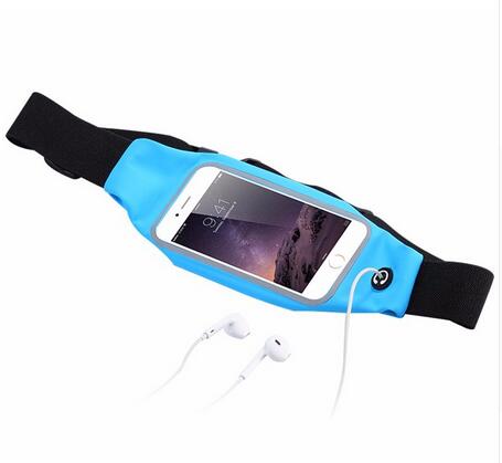 Transparent Waist Bag